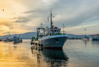 узбережжя Чорного моря Болгарiя