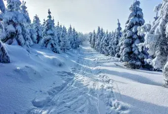 снiг в горах