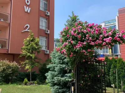 житловий будинок