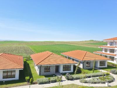 Vineyards Panorama