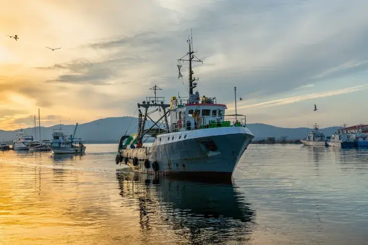 узбережжя Чорного моря Болгарiя