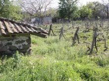 Мініатюра