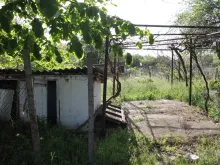 Мініатюра