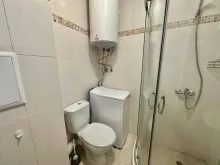 Мініатюра