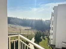 вид на ліс з тераси