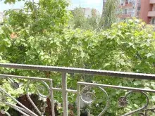 вид на сад з тераси