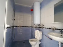 Мініатюра