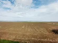 сільськогосподарські угіддя