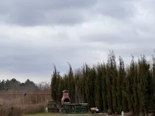 Мініатюра