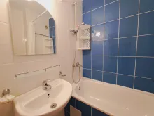 Мініатюра