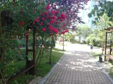 Мініатюра