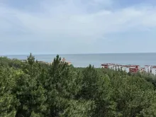 Мініатюра
