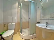 Мініатюра
