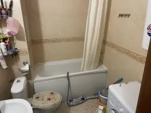 Мініатюра