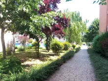 Мініатюра