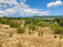 Мініатюра