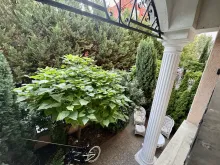 терраса с выходом на улицу