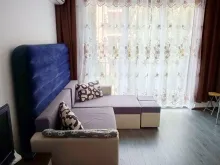 Мініатюра
