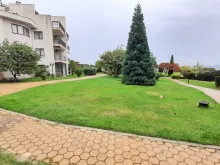 вид на лужайку и море