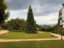 Лужайка перед квартирой
