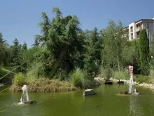 Мініатюра