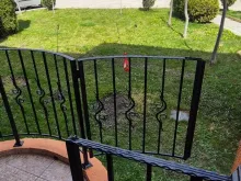 Мініатюра