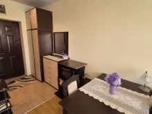 Мініатюра