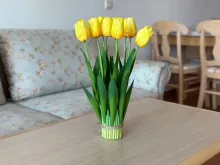 Мініатюра