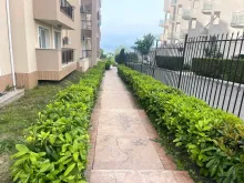Мініатюра