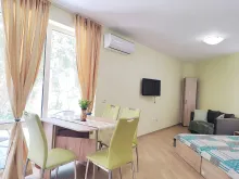 Royal Palm | Простора студія