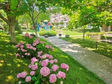 комплекс, территорія, бассейн