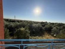 Мініатюра