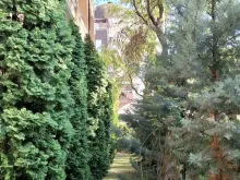 комплекс, территорія