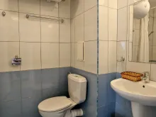 Мініатюра