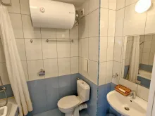 Мініатюра