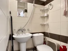 Мініатюра