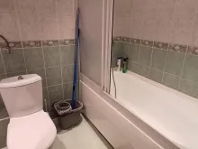 Мініатюра