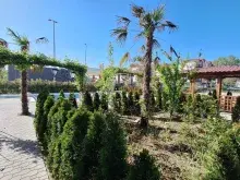 комплекс, территорія, бассейн