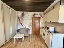 Мініатюра