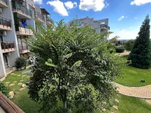 комплекс, территорія