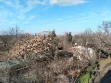 Мініатюра