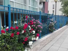 комплекс, территорія, басейн