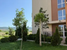 комплекс, территорія, бассейн