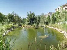 Мініатюра