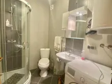 Мініатюра