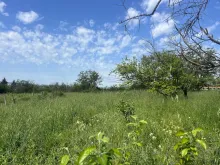 Мініатюра