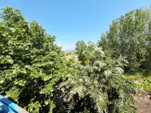 Мініатюра