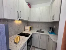Мініатюра