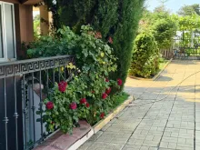комплекс, территорія, бассейн