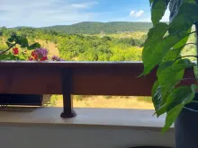 Мініатюра